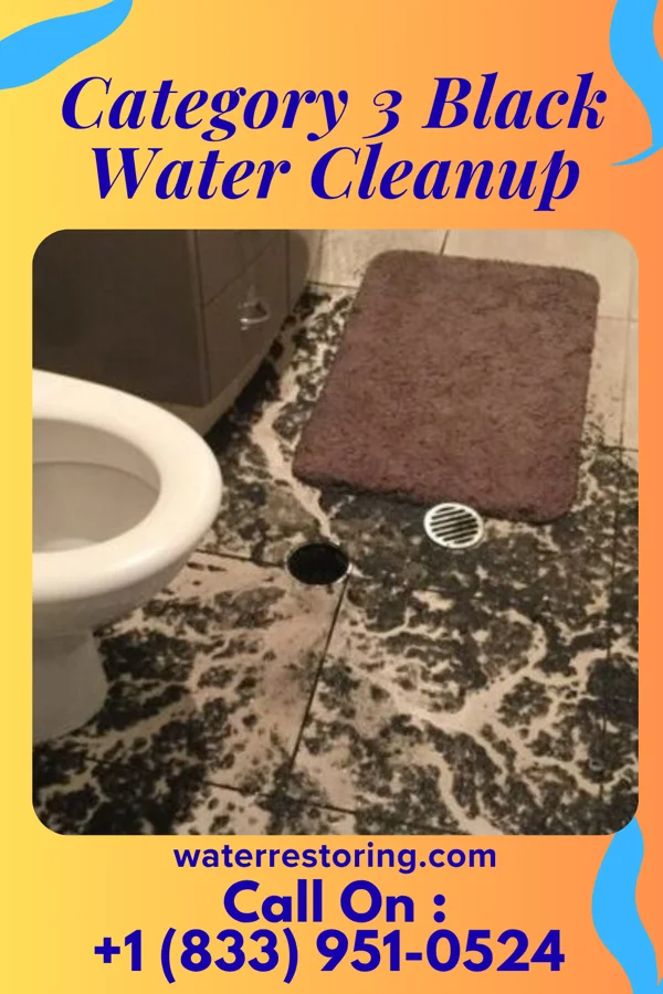 Category 3 Black Water Cleanup in Brodhead, WI